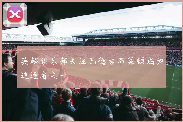 英超俱乐部关注巴德吉布莱顿成为追逐者之一