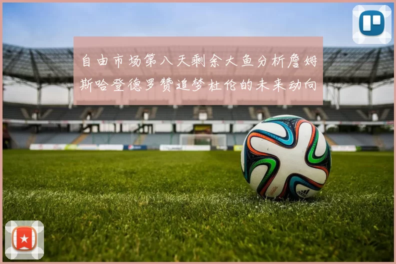 自由市场第八天剩余大鱼分析詹姆斯哈登德罗赞追梦杜伦的未来动向