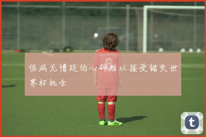 伤病无情廷伯心碎难以接受错失世界杯机会